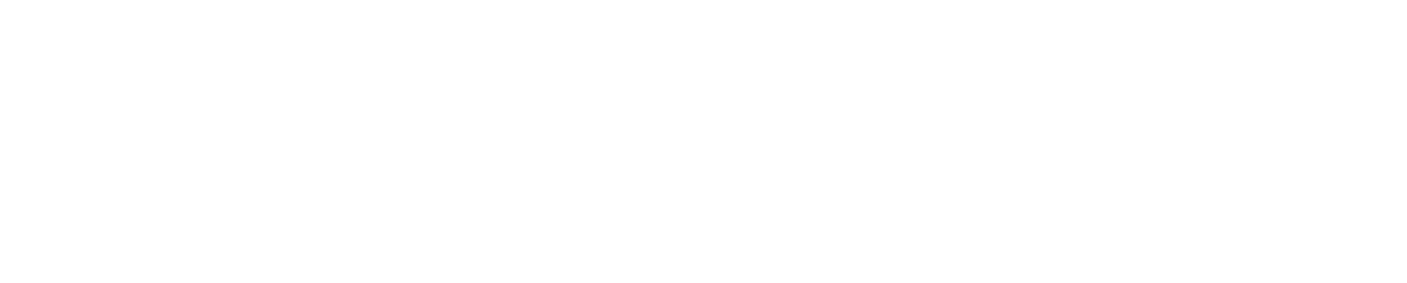 Autofortas Motors